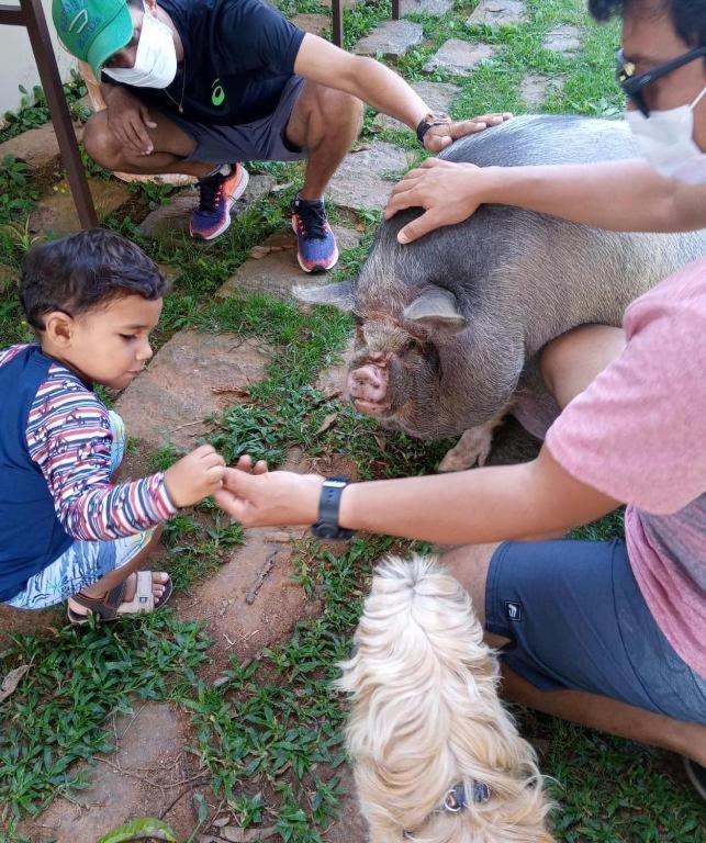 Aldeia Parque Pousada Rural São Roque Esterno foto
