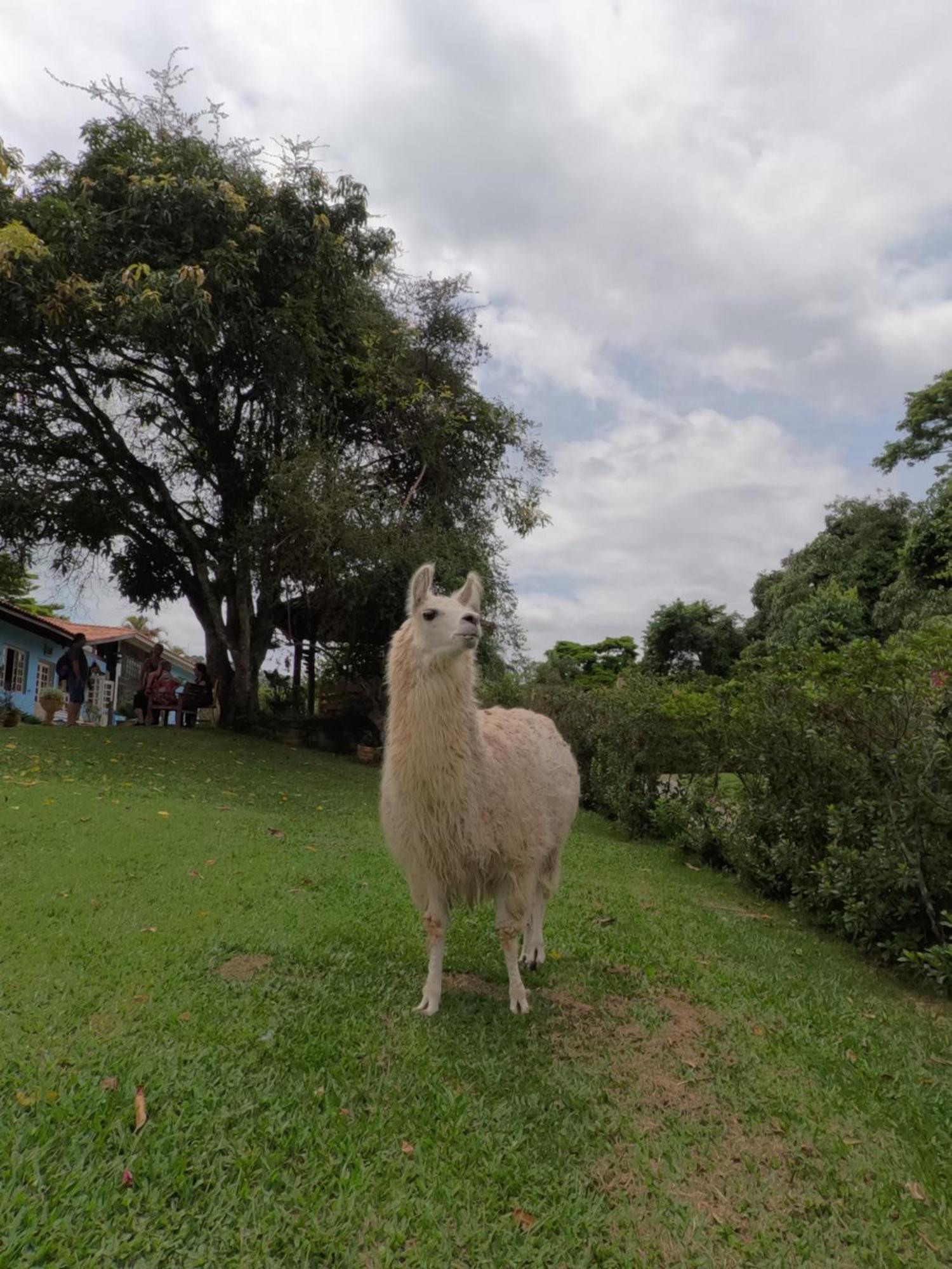 Aldeia Parque Pousada Rural São Roque Esterno foto