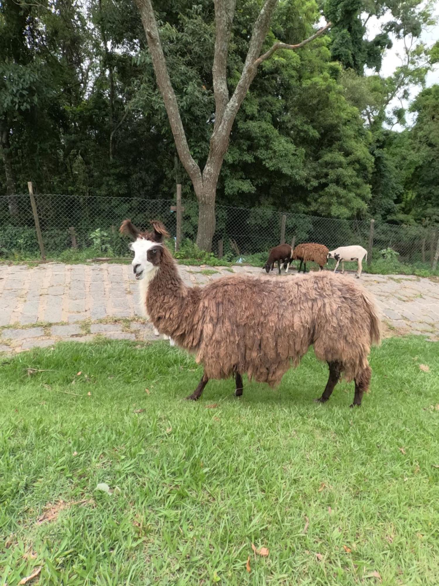 Aldeia Parque Pousada Rural São Roque Esterno foto