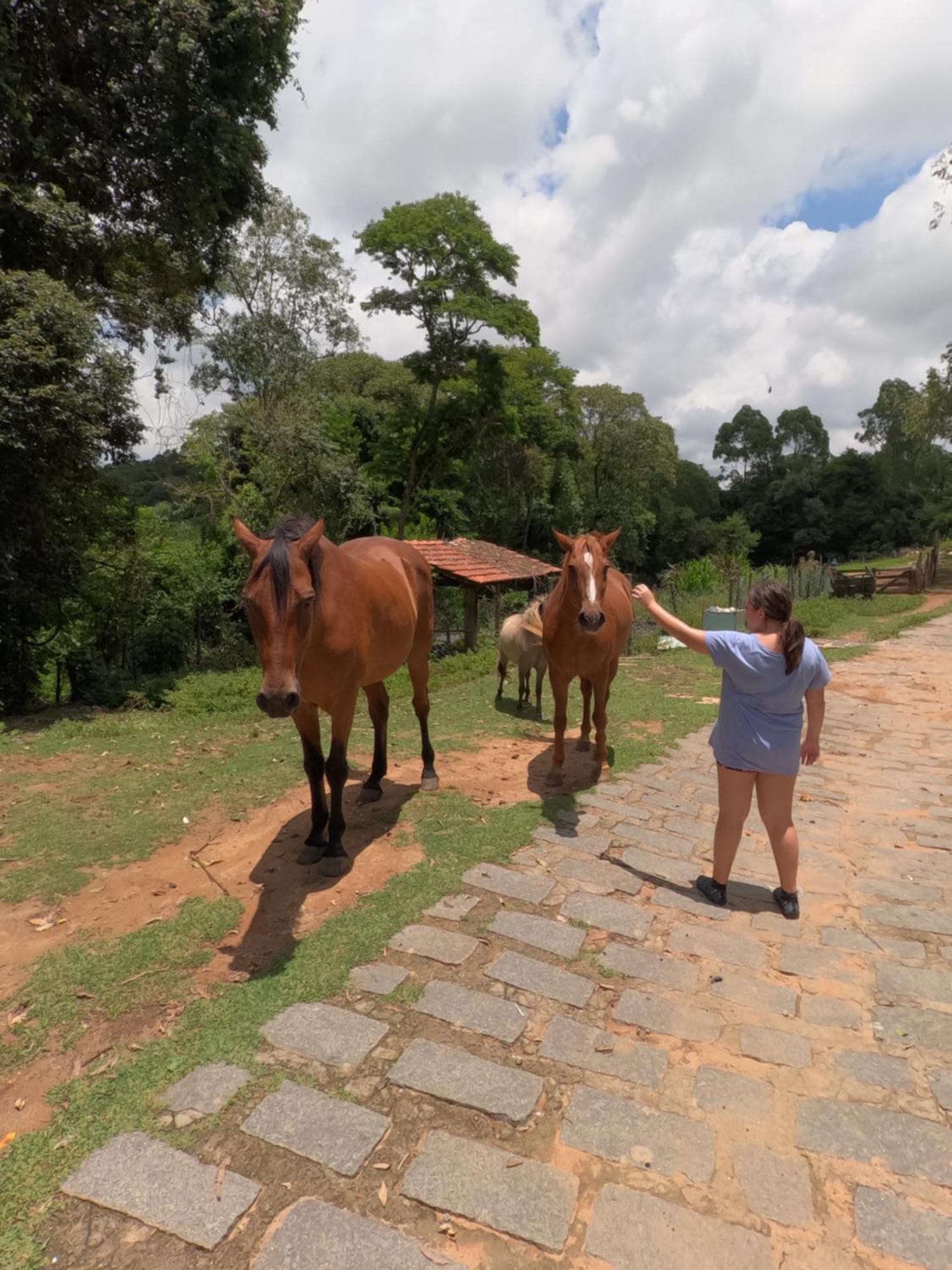 Aldeia Parque Pousada Rural São Roque Esterno foto
